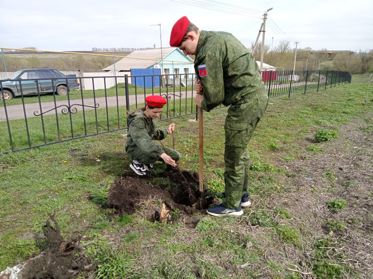 «Посади дерево».